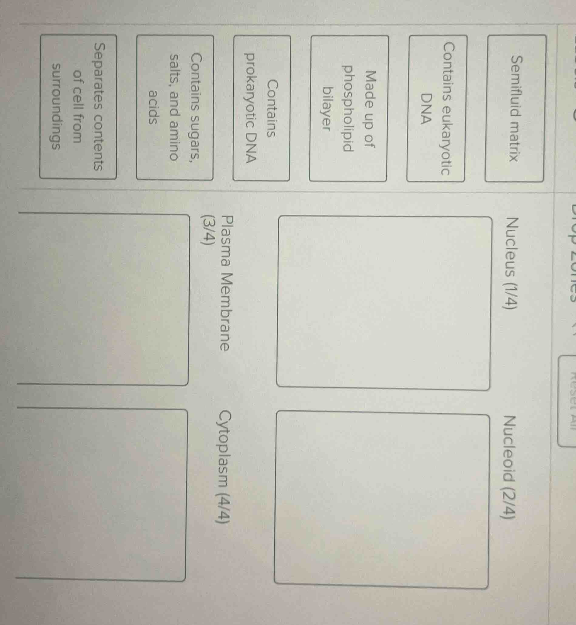 semifluid matrix contains eukaryotic dna made up of phospholipid bilaye…