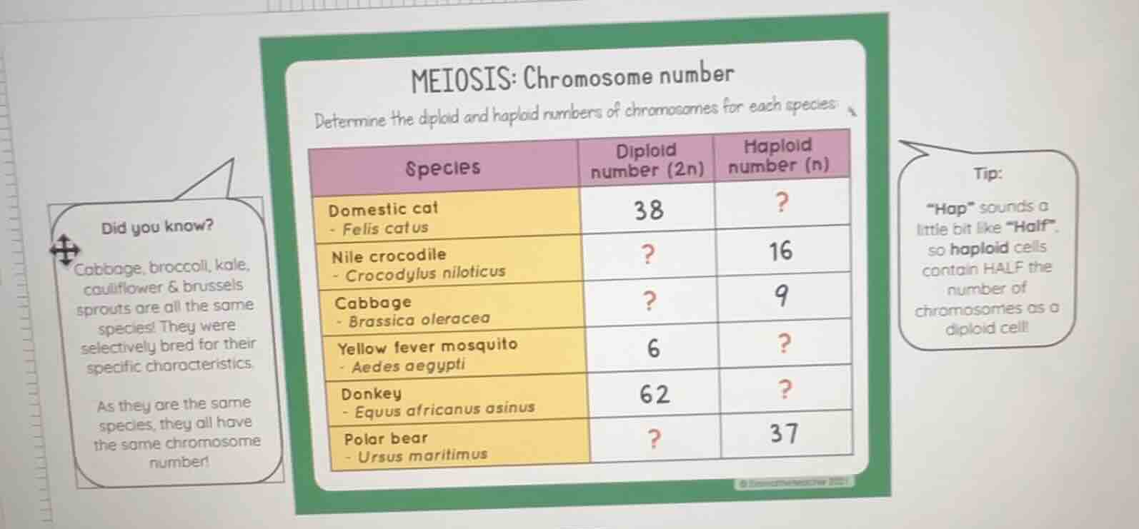 meiosis: chromosome number determine the diploid and haploid numbers of…