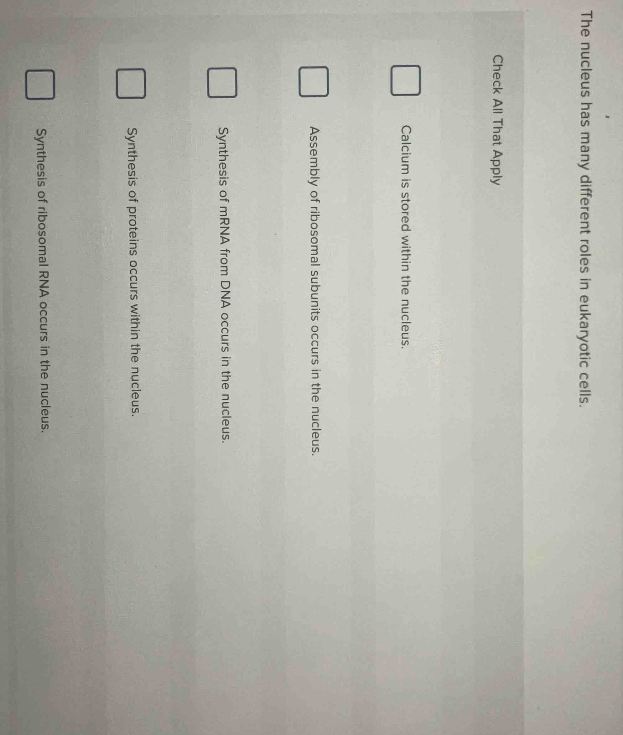 the nucleus has many different roles in eukaryotic cells. check all tha…