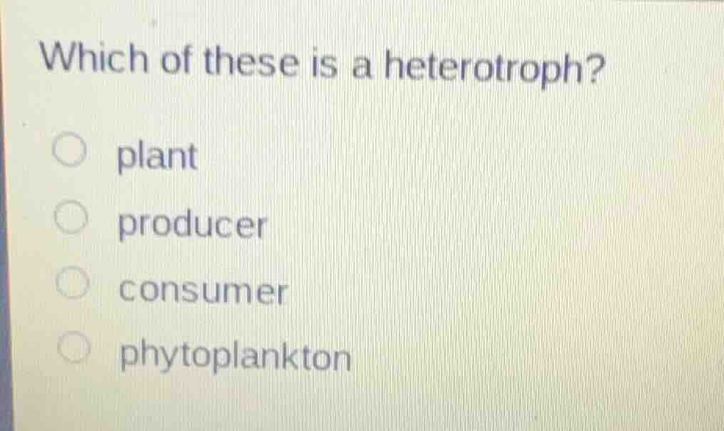 which of these is a heterotroph?○ plant○ producer○ consumer○ phytoplank…