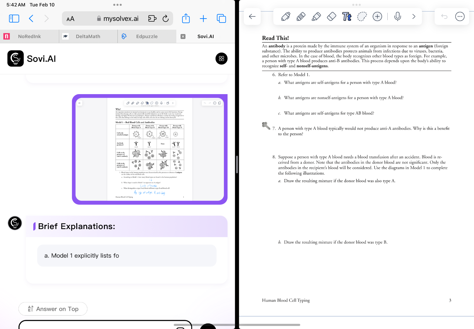 read this! an antibody is a protein made by the immune system of an org…