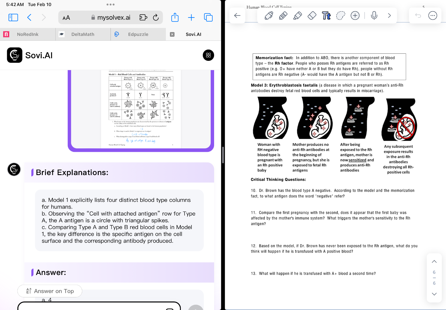 memorization fact: in addition to abo, there is another component of bl…