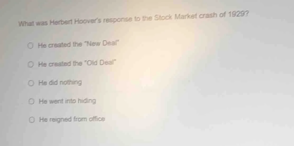 what was herbert hoovers response to the stock market crash of 1929? he…