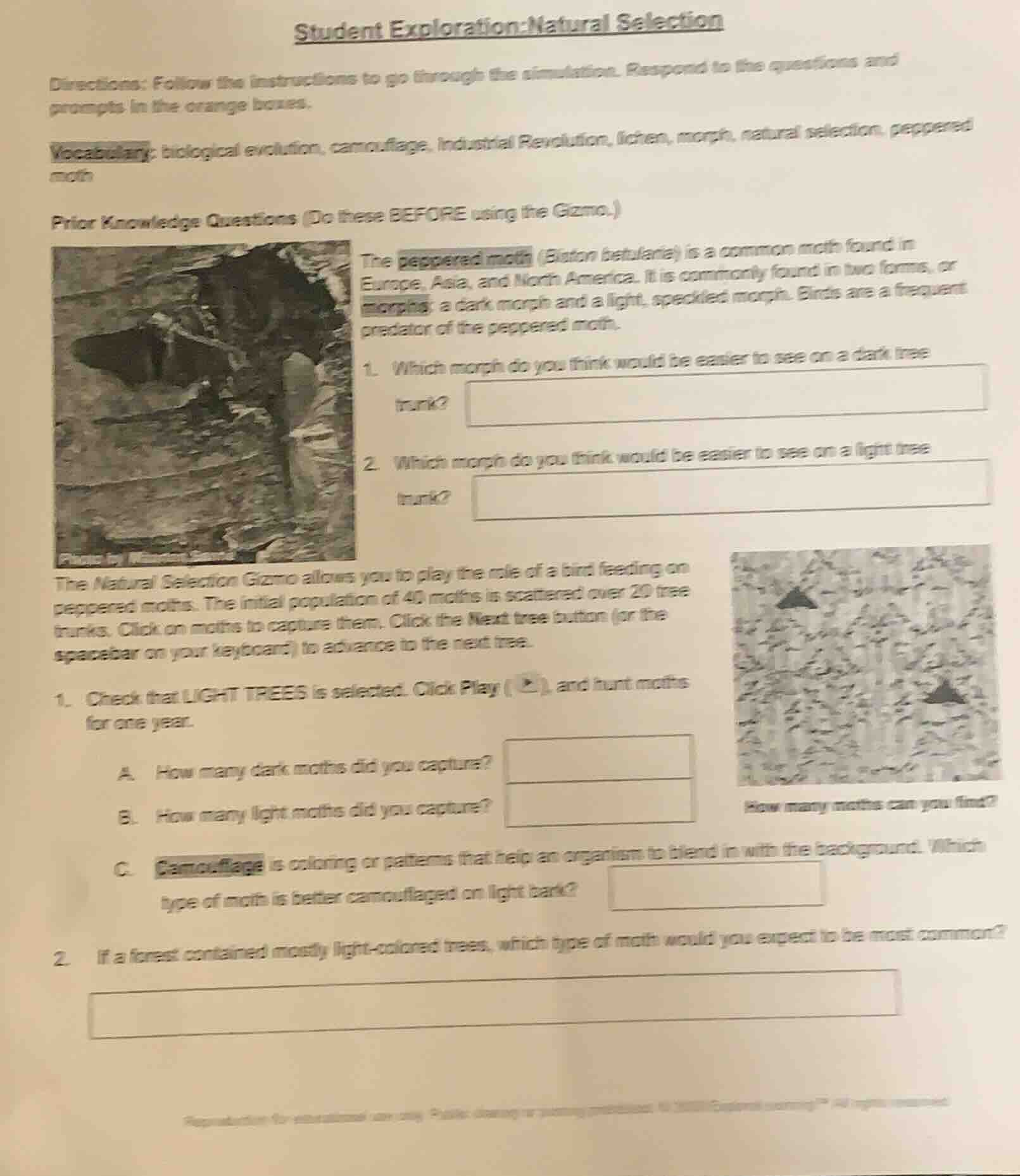 student exploration:natural selection directions: follow the instructio…