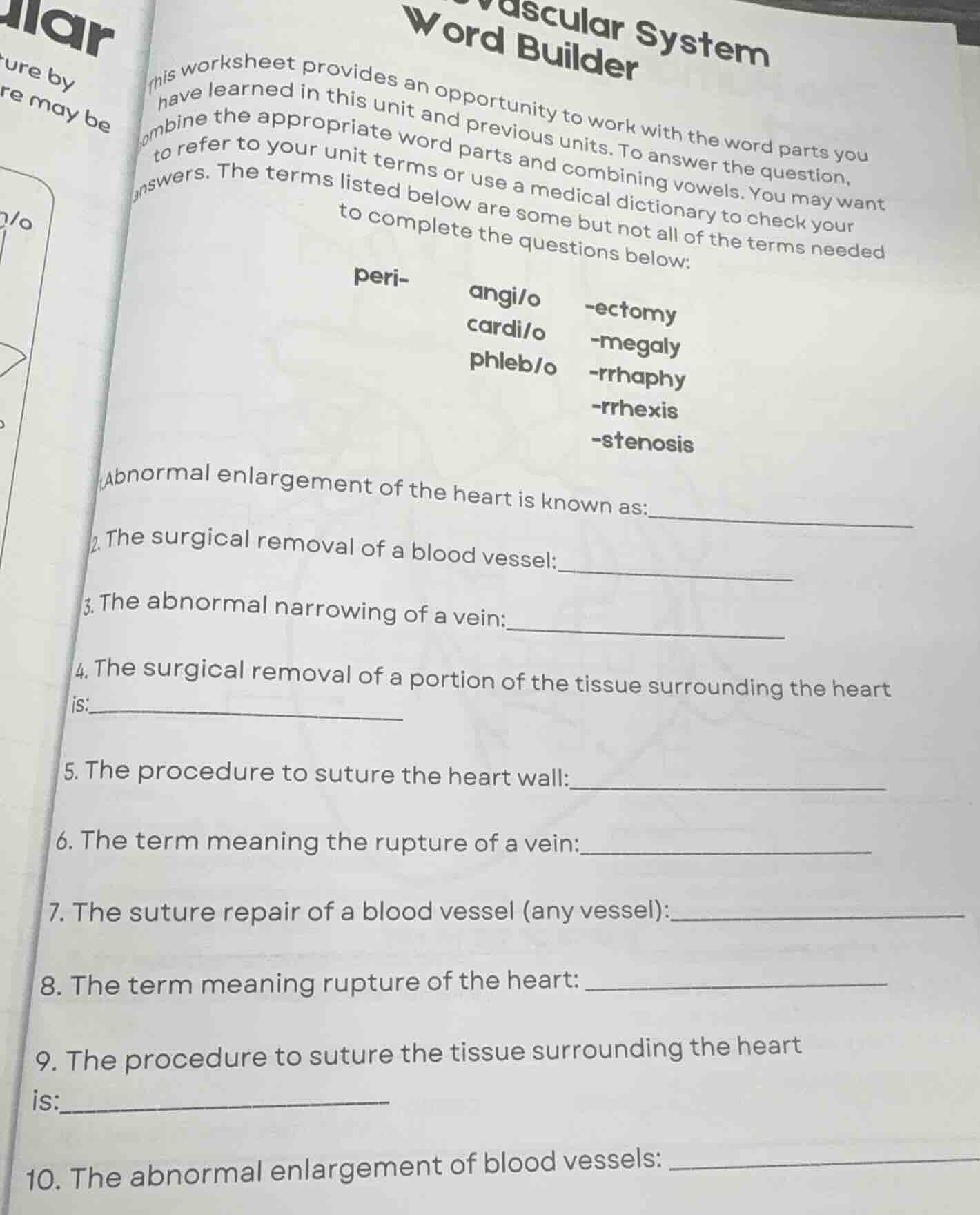 vascular system word builder this worksheet provides an opportunity to …