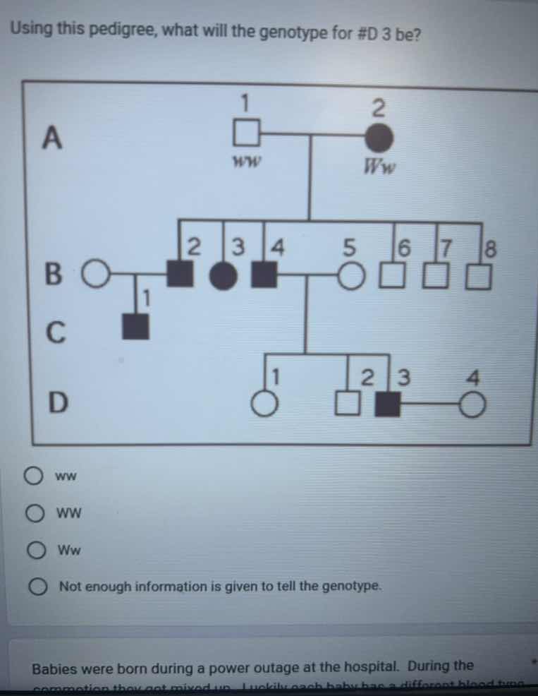 using this pedigree, what will the genotype for #d 3 be? ww ww ww ww no…