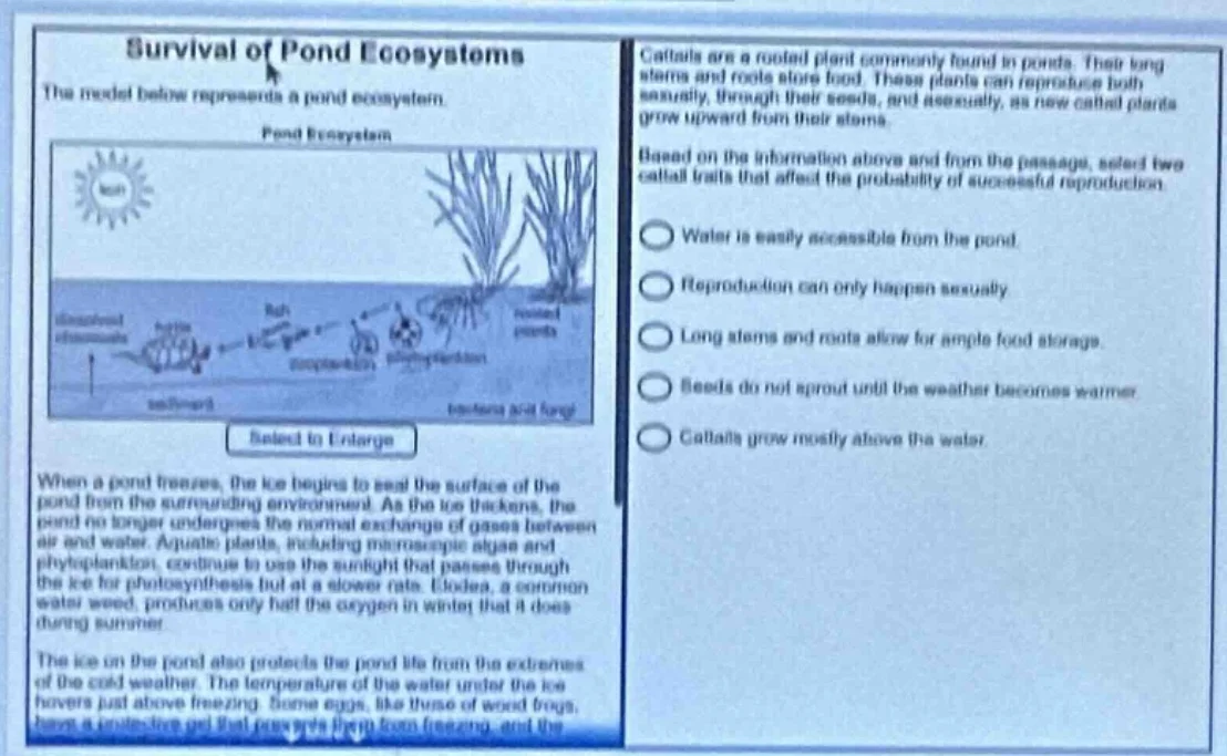 survival of pond ecosystems the model below represents a pond ecosystem…
