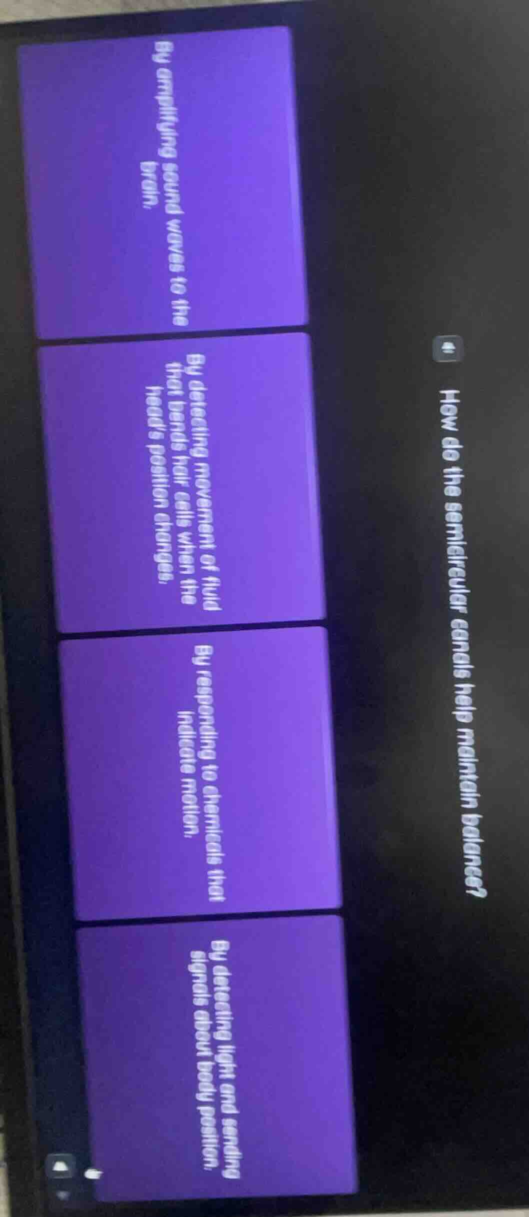 how do the semicircular canals help maintain balance? by amplifying sou…