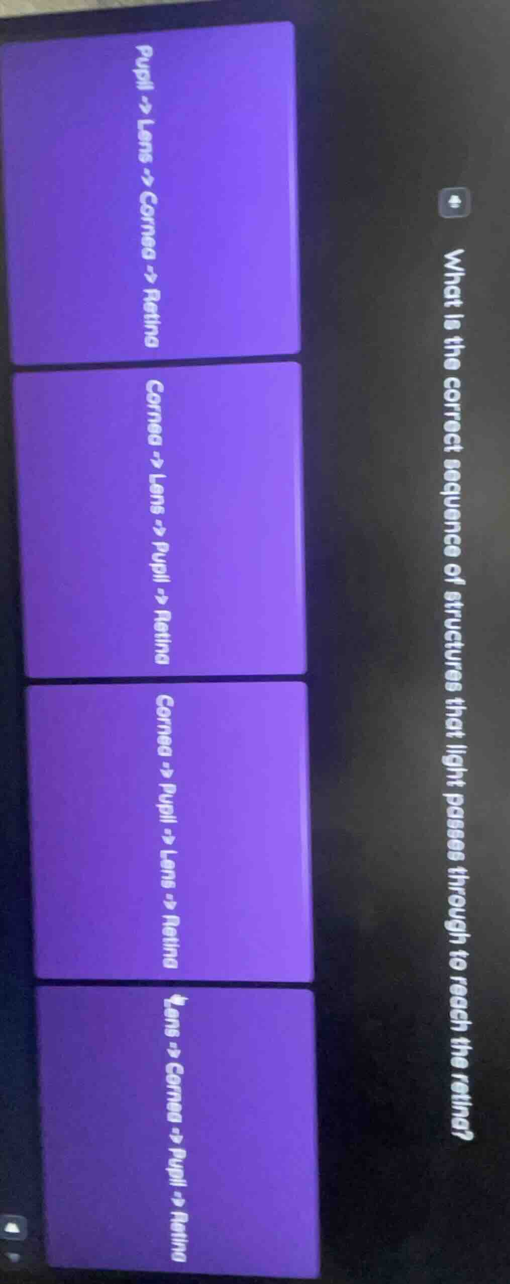 what is the correct sequence of structures that light passes through to…