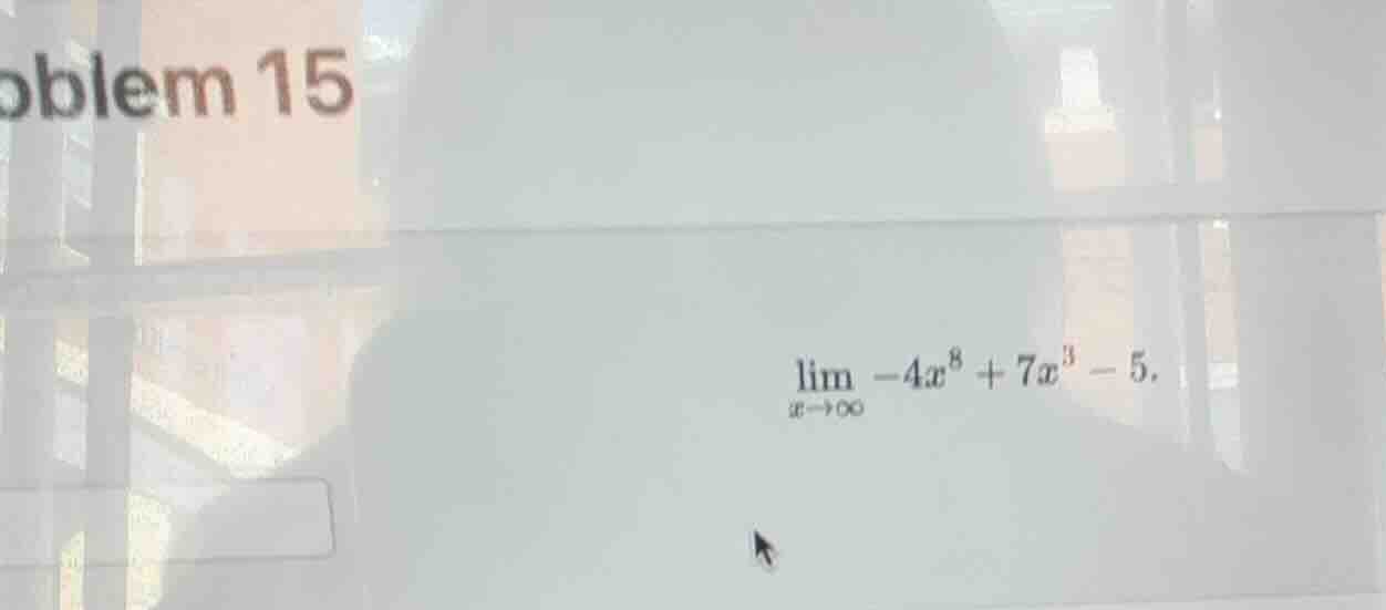 problem 15 $lim_{x \to infty} -4x^8 + 7x^3 - 5$