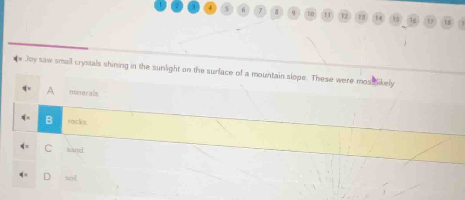 joy saw small crystals shining in the sunlight on the surface of a moun…