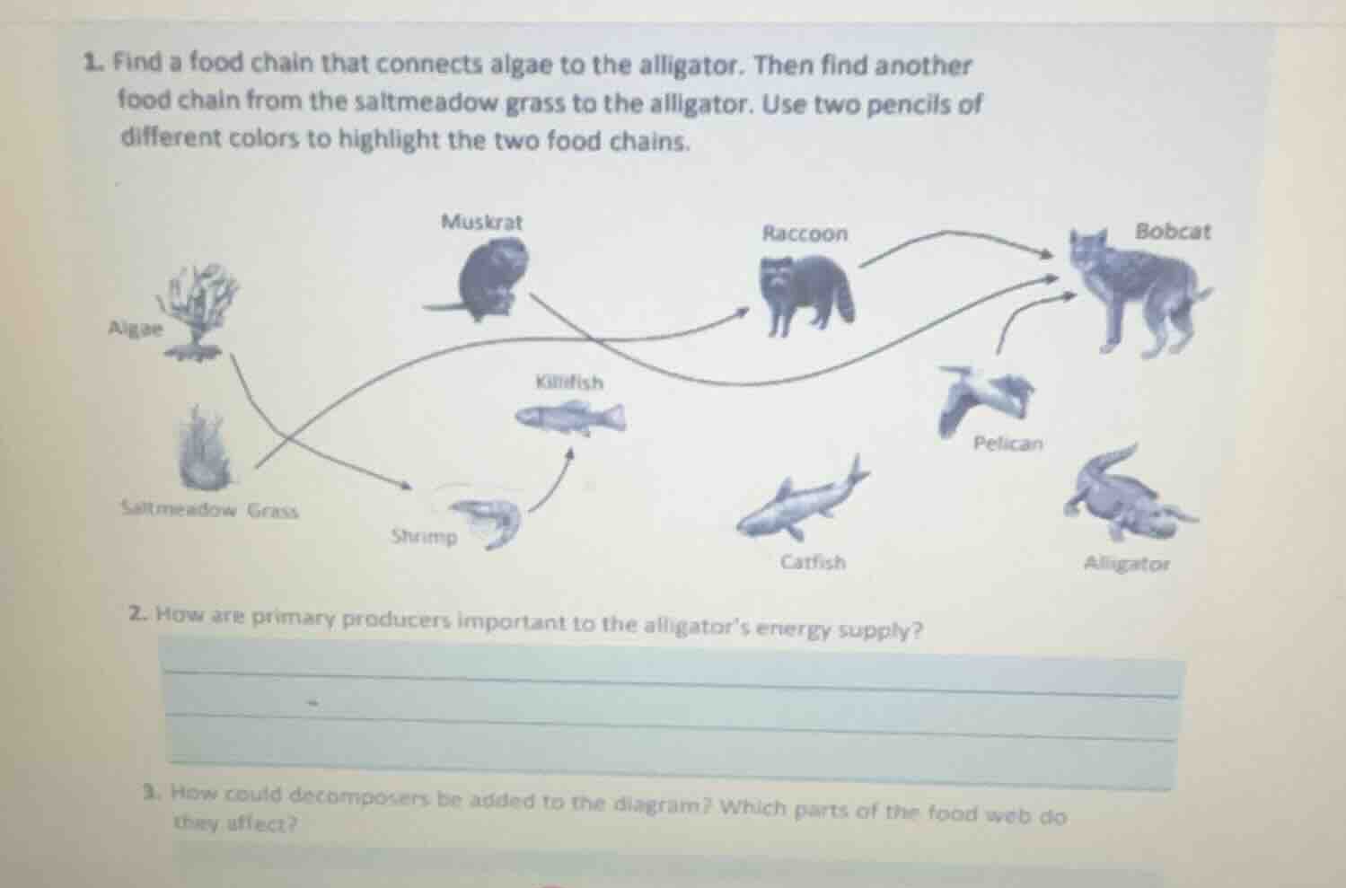 1. find a food chain that connects algae to the alligator. then find an…
