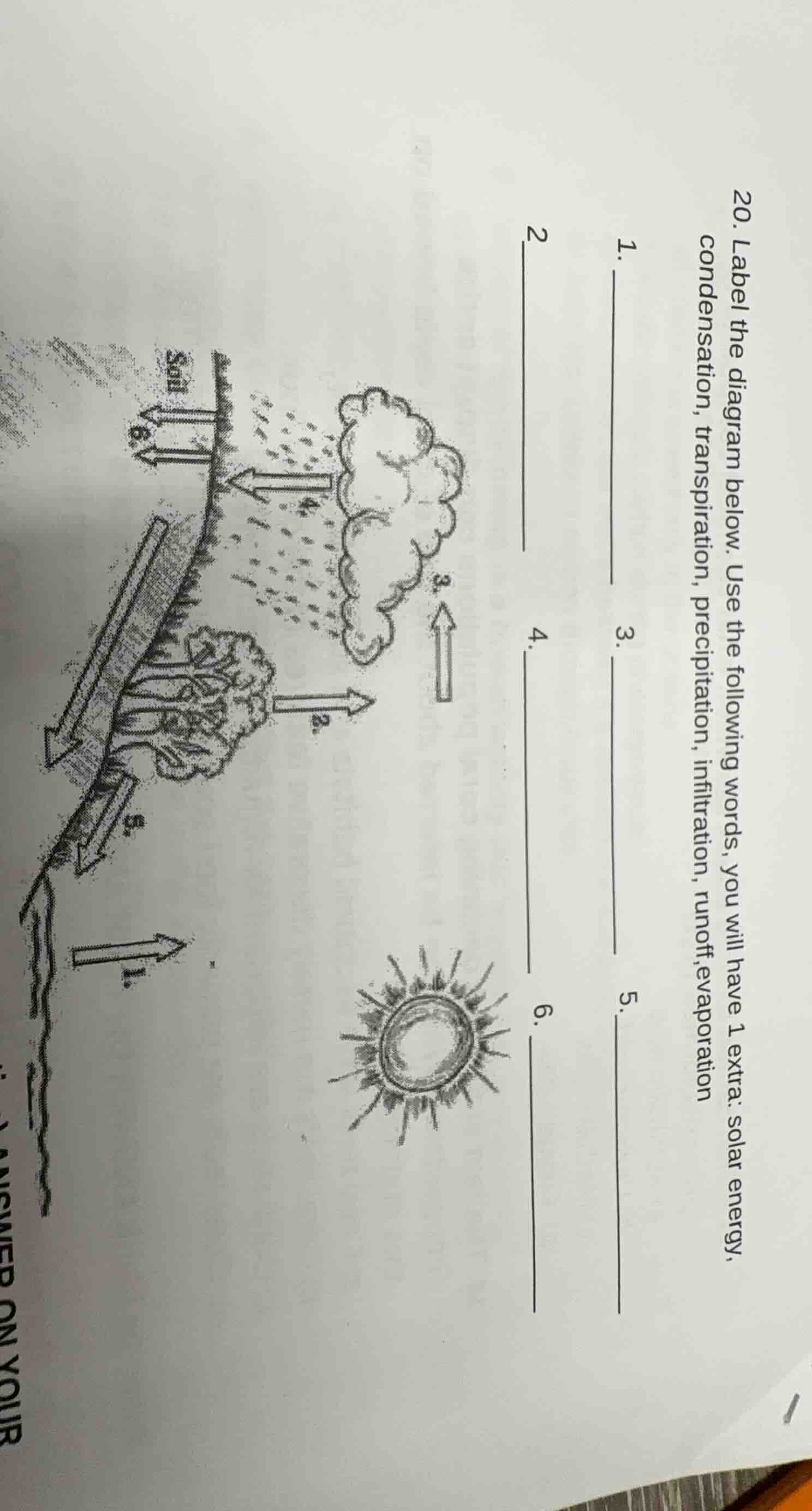 20. label the diagram below. use the following words, you will have 1 e…