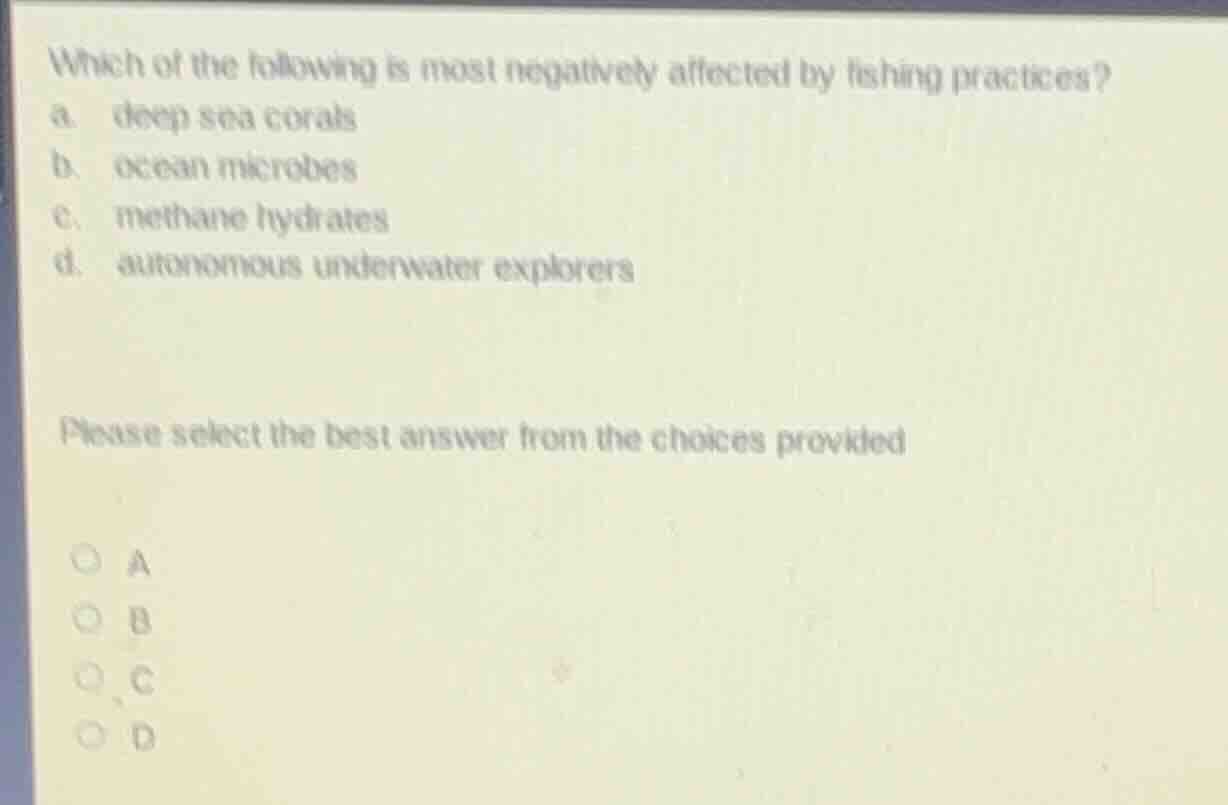 which of the following is most negatively affected by fishing practices…