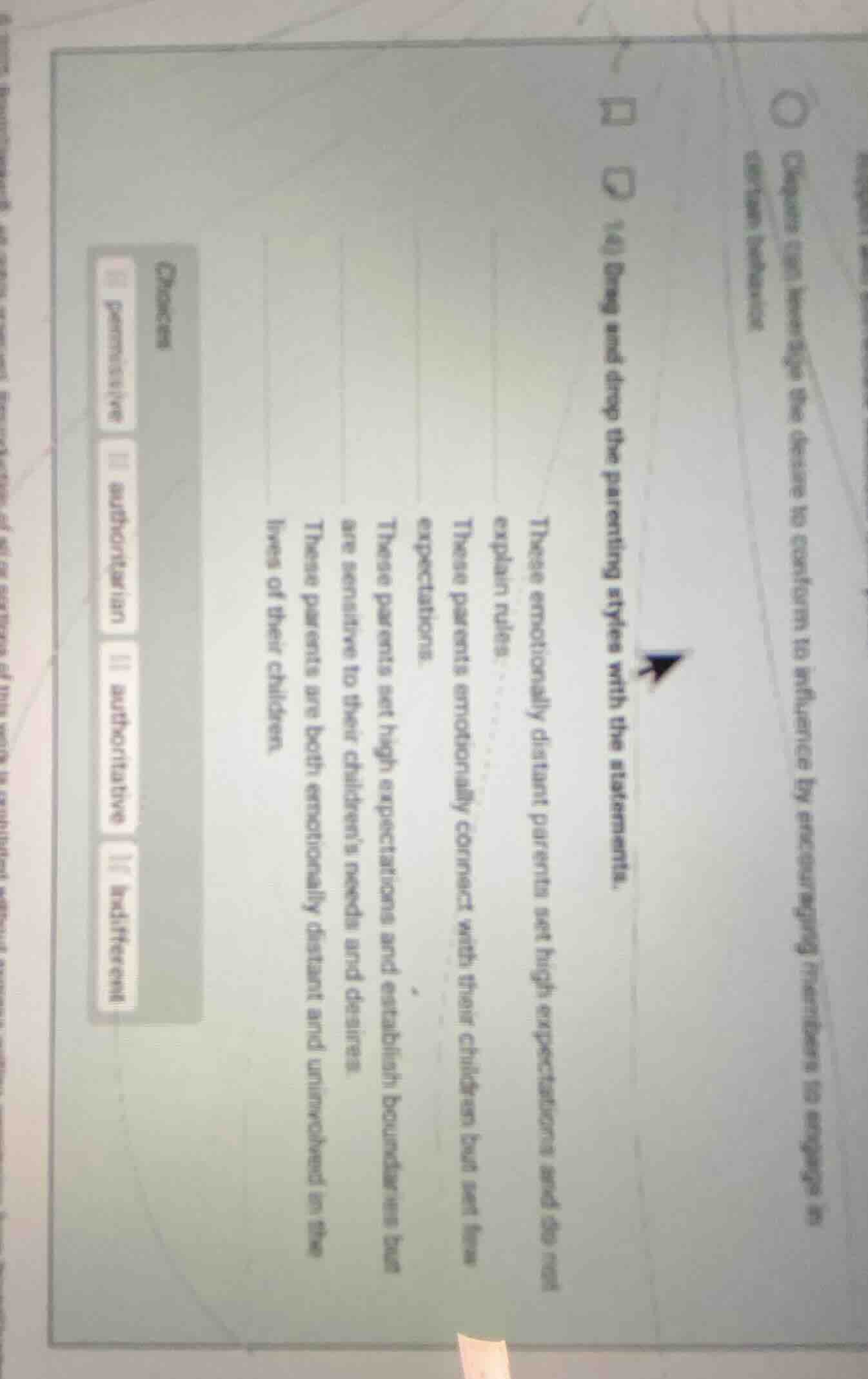 14) drag and drop the parenting styles with the statements. these emoti…