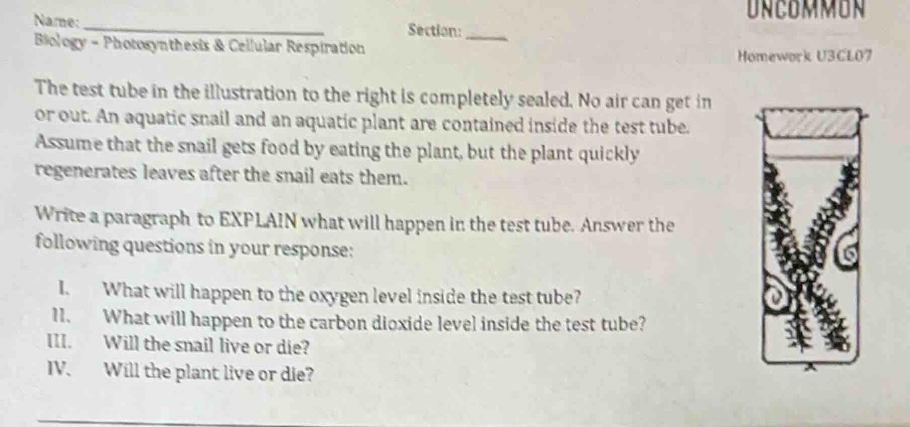 name: ___________________________section: ______biology - photosynthesi…