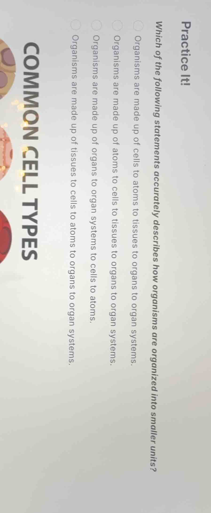 practice it! which of the following statements accurately describes how…