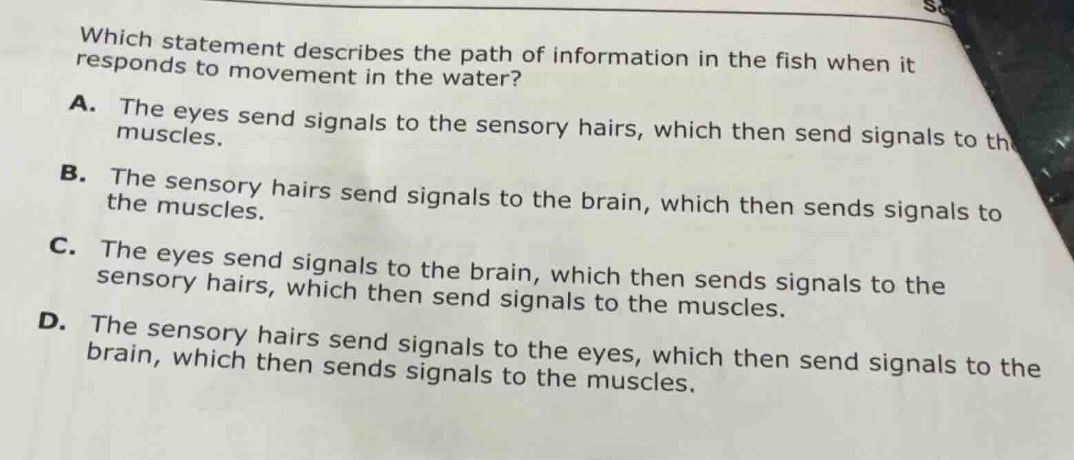 which statement describes the path of information in the fish when it r…