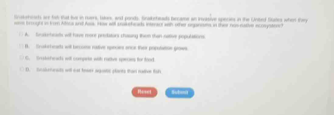 snakeheads are fish that live in rivers, lakes, and ponds. snakeheads b…