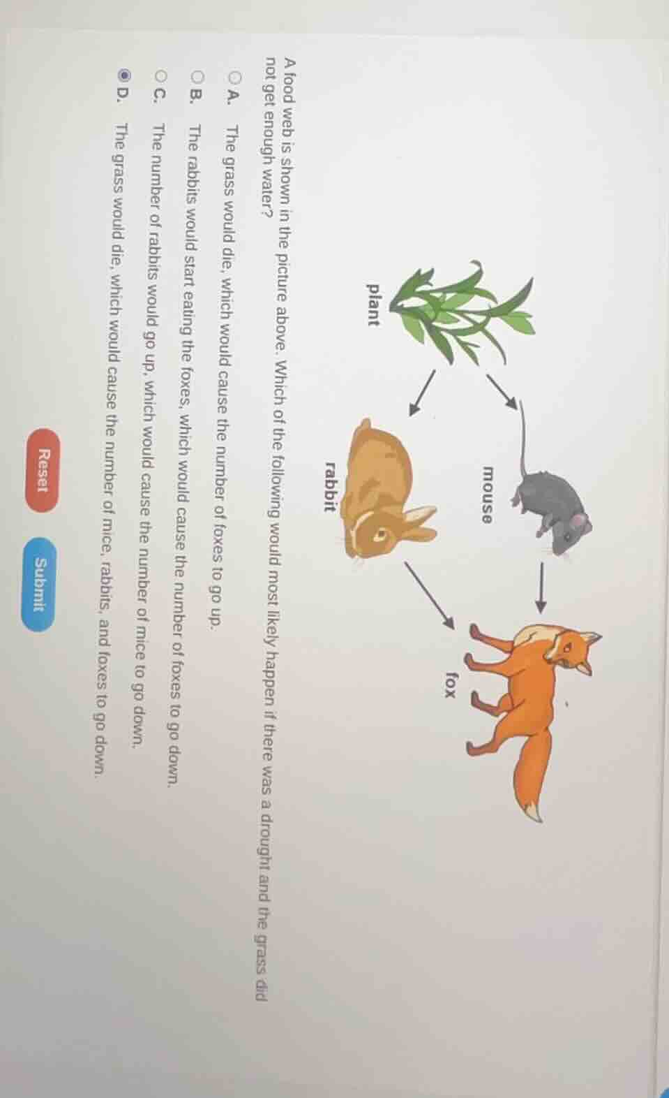 a food web is shown in the picture above. which of the following would …