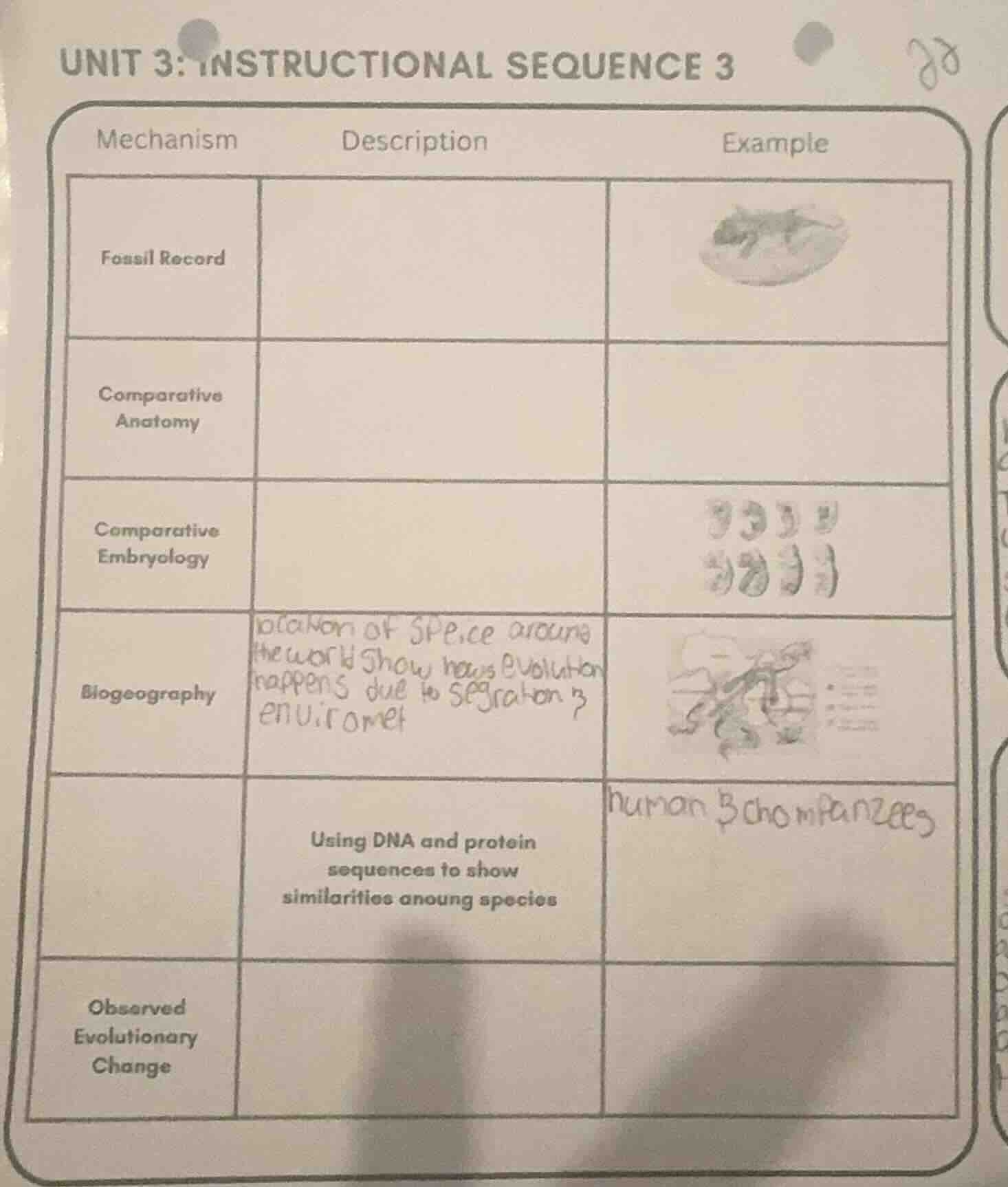 unit 3: instructional sequence 3 |mechanism|description|example| | ----…