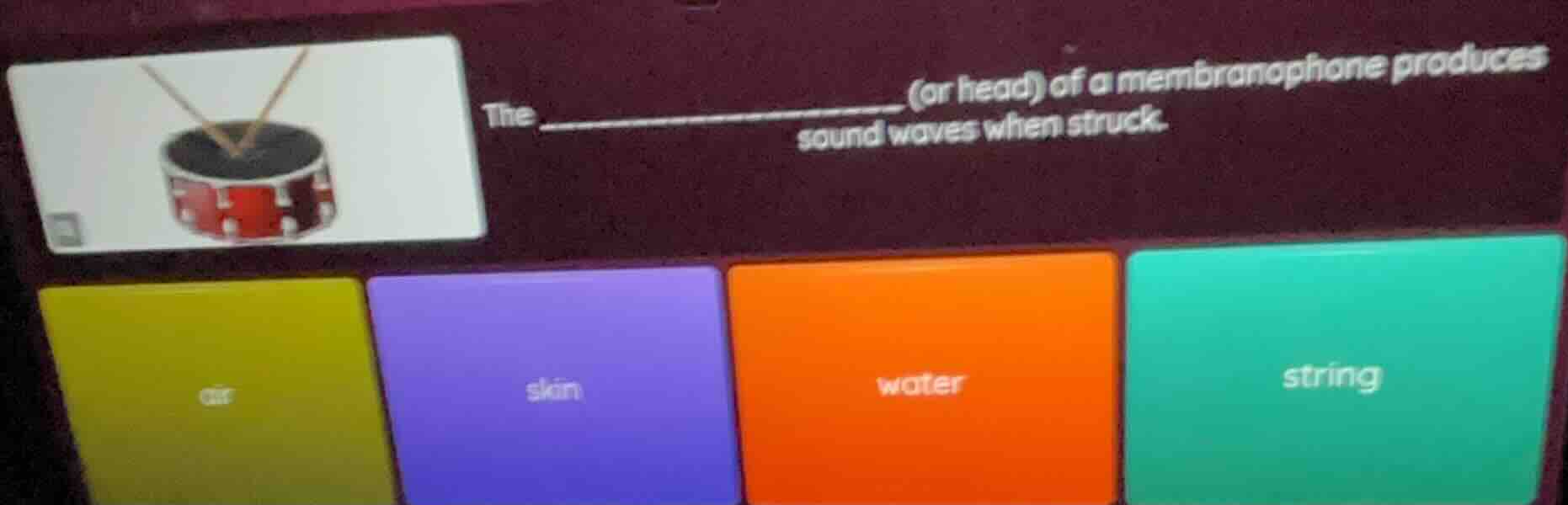 the _______________(or head) of a membranophone produces sound waves wh…