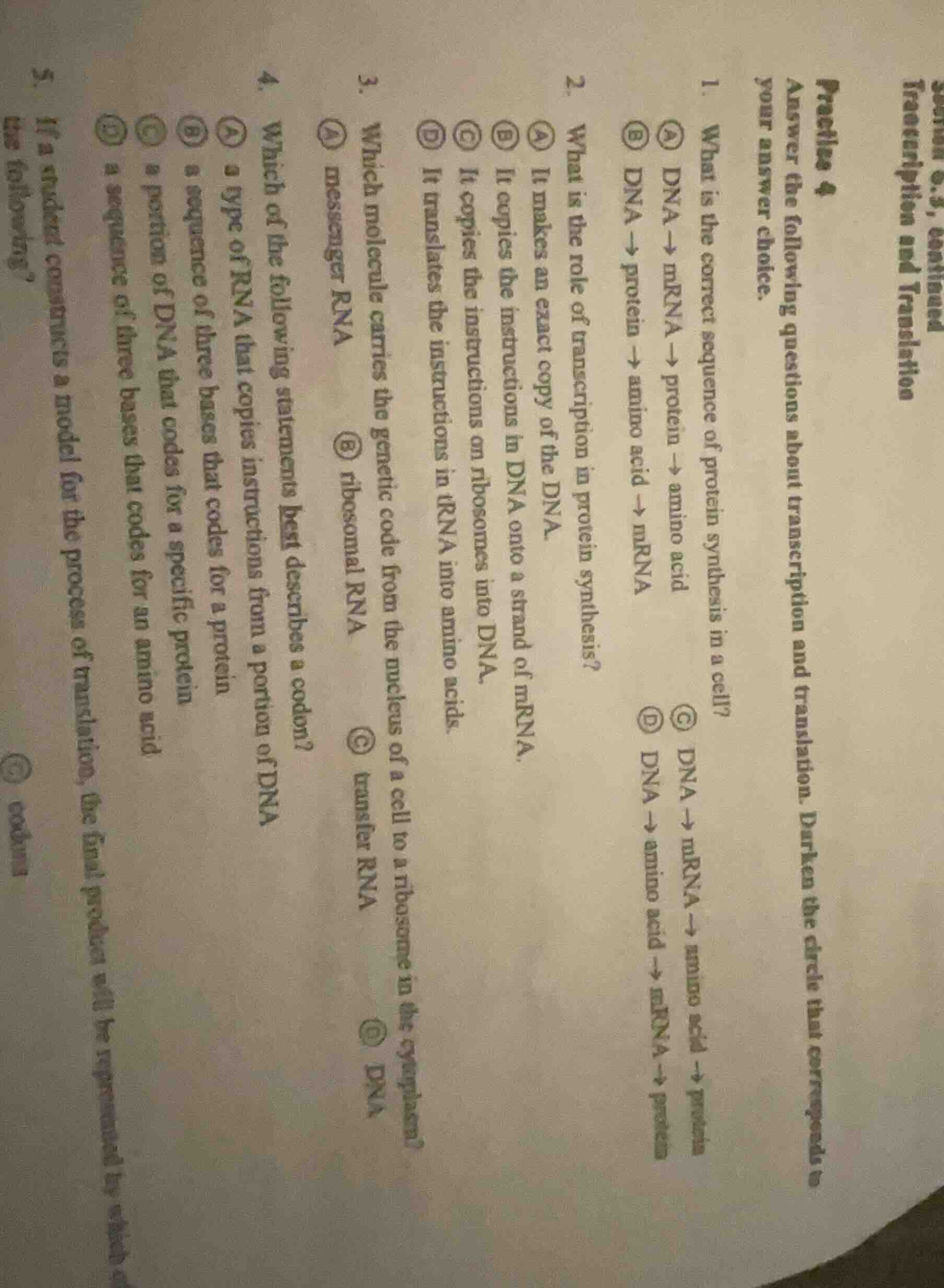 section 6.3, continued transcription and translation practice 4 answer …