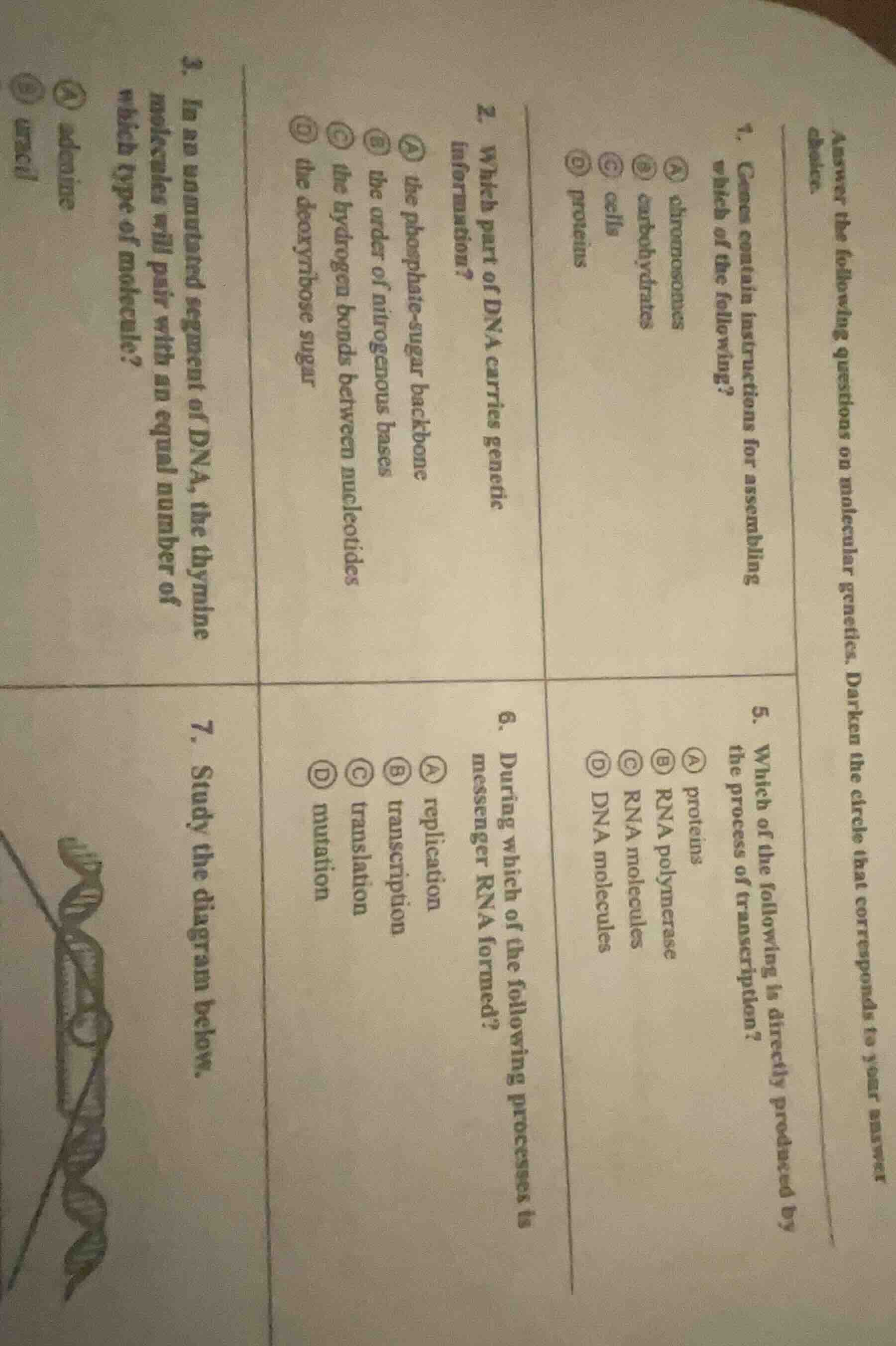 answer the following questions on molecular genetics. darken the circle…