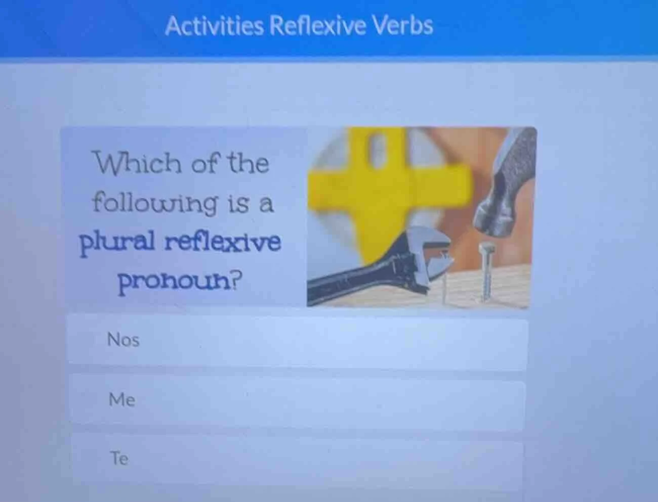 activities reflexive verbs which of the following is a plural reflexive…