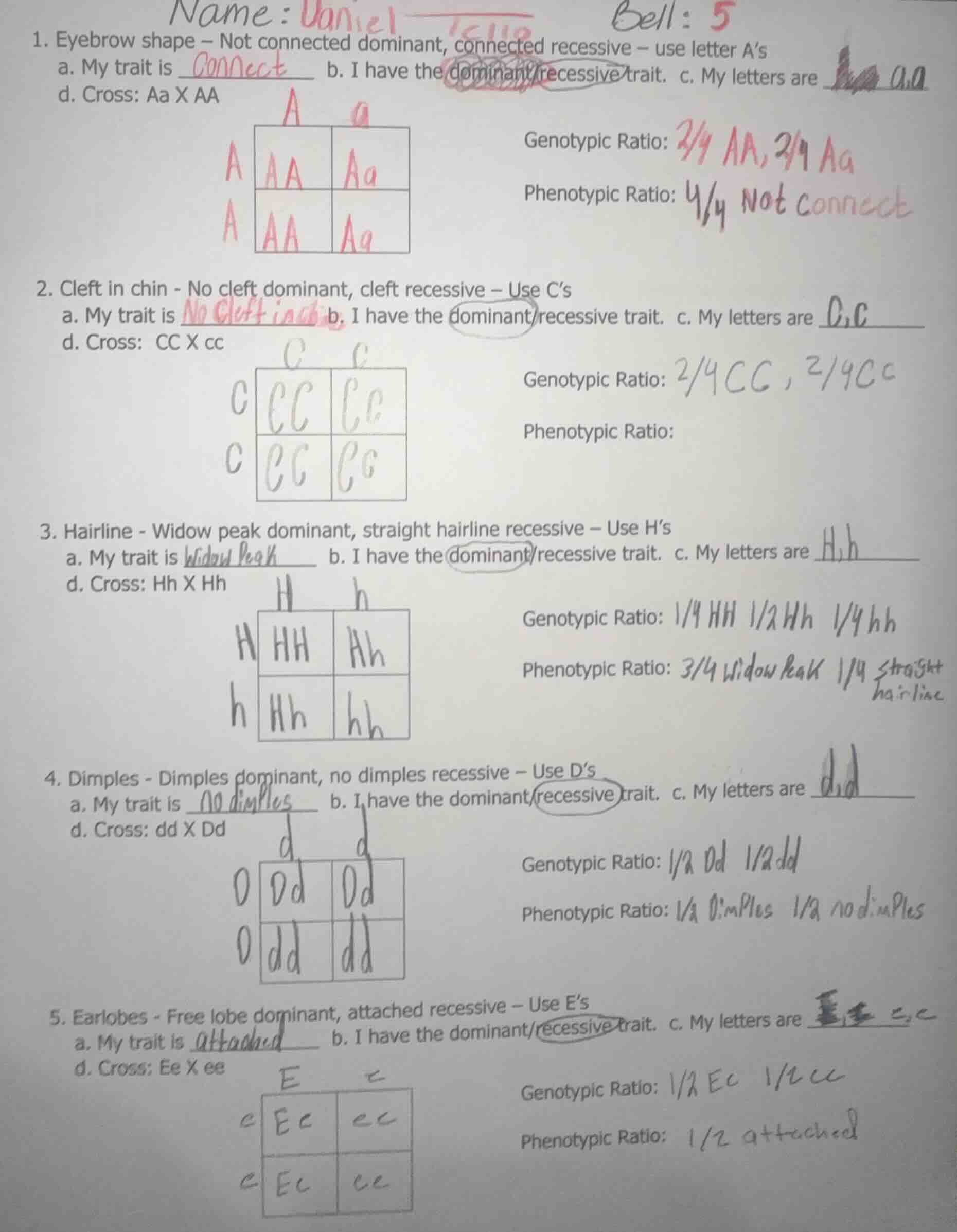 name: danielbell: 51. eyebrow shape – not connected dominant, connected…