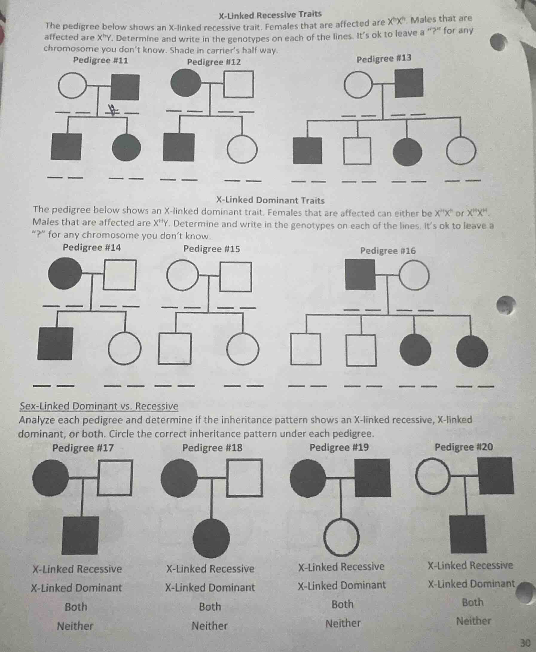 x-linked recessive traits the pedigree below shows an x-linked recessiv…