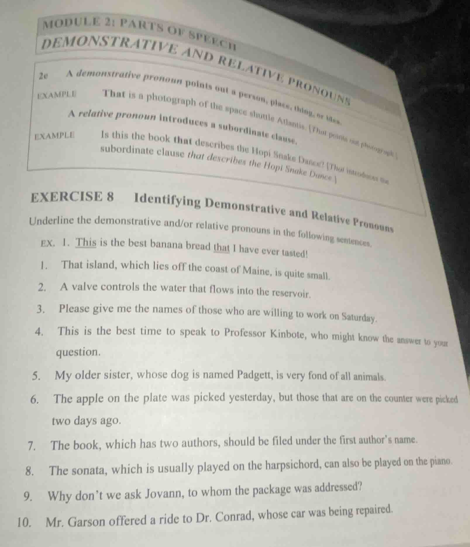 module 2: parts of speechdemonstrative and relative pronouns2e a demons…