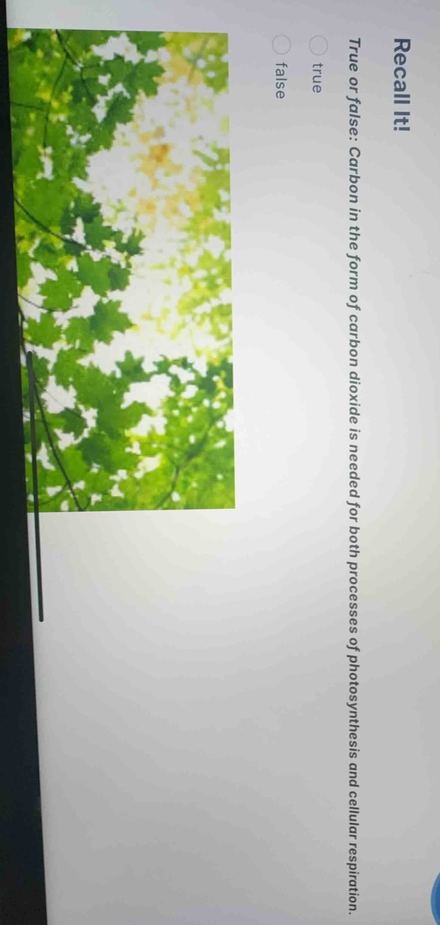recall it! true or false: carbon in the form of carbon dioxide is neede…