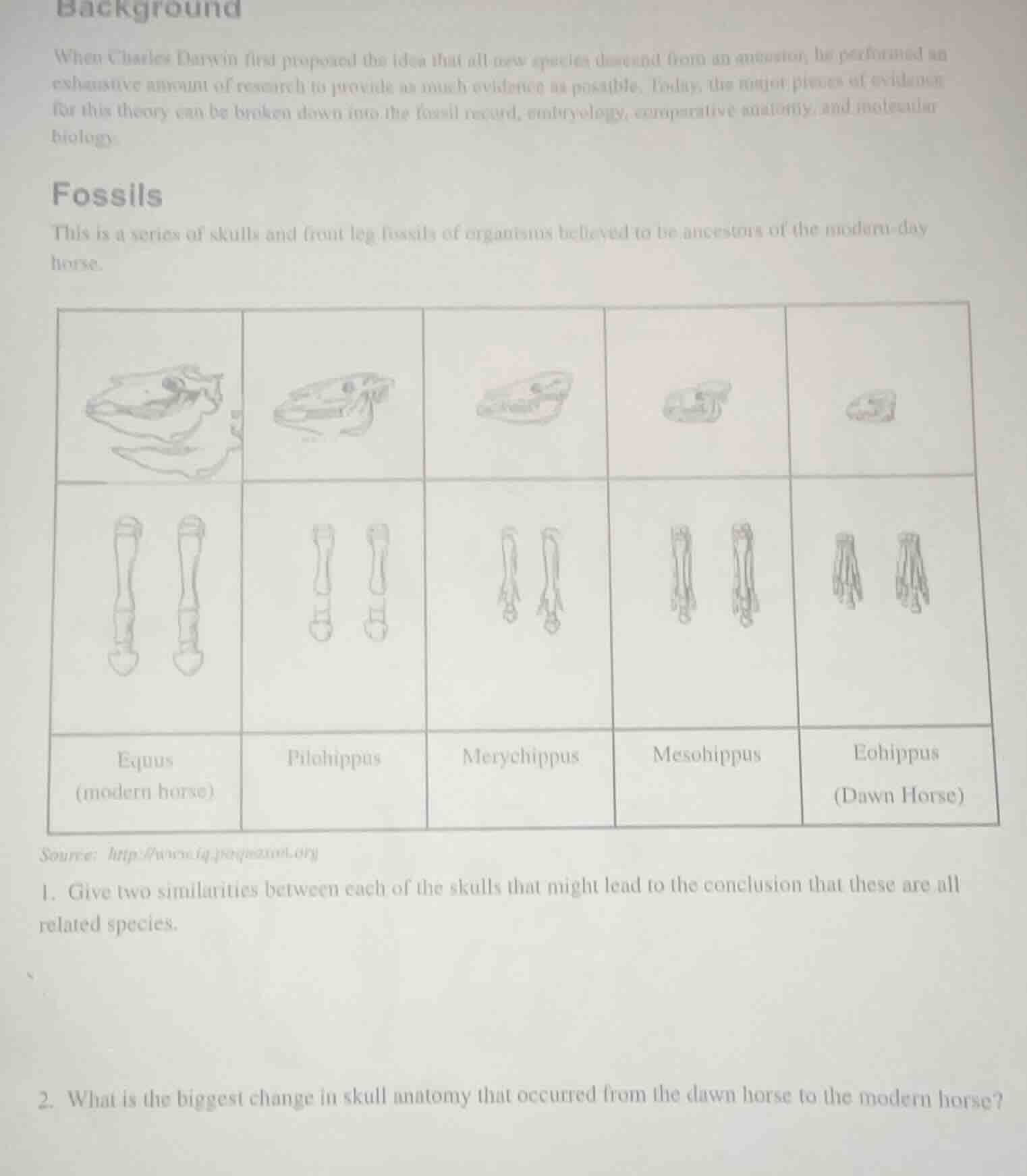 background when charles darwin first proposed the idea that all new spe…