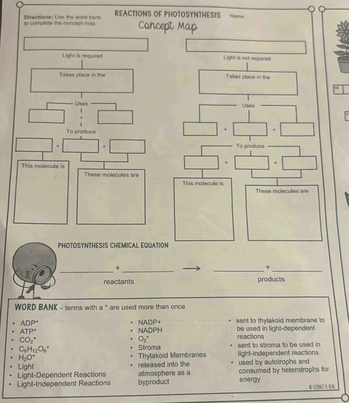 reactions of photosynthesisname:directions: use the word bank to comple…