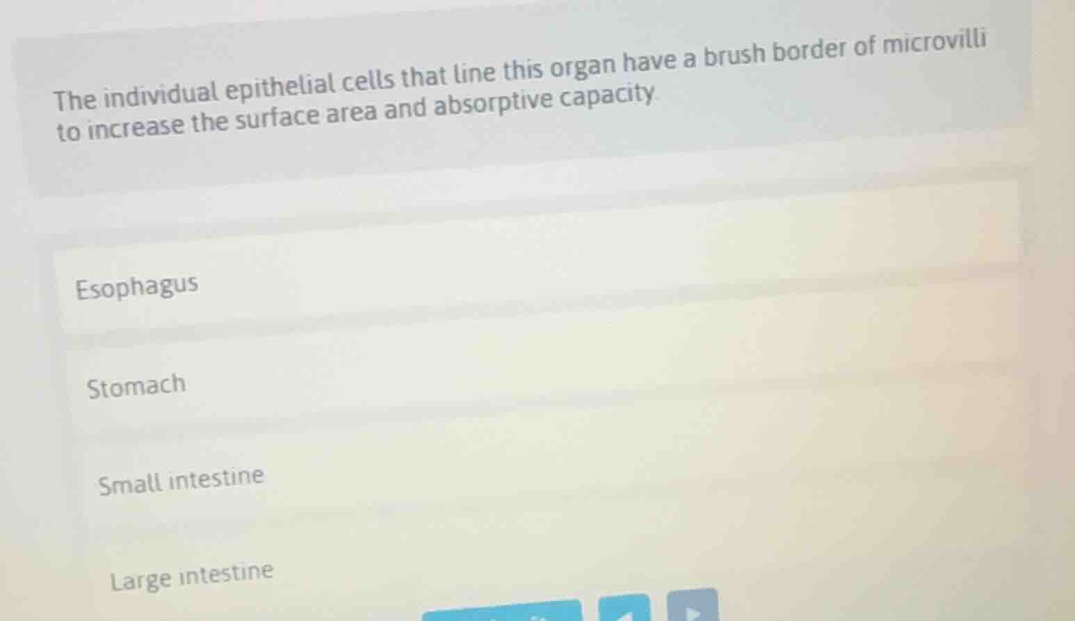 the individual epithelial cells that line this organ have a brush borde…