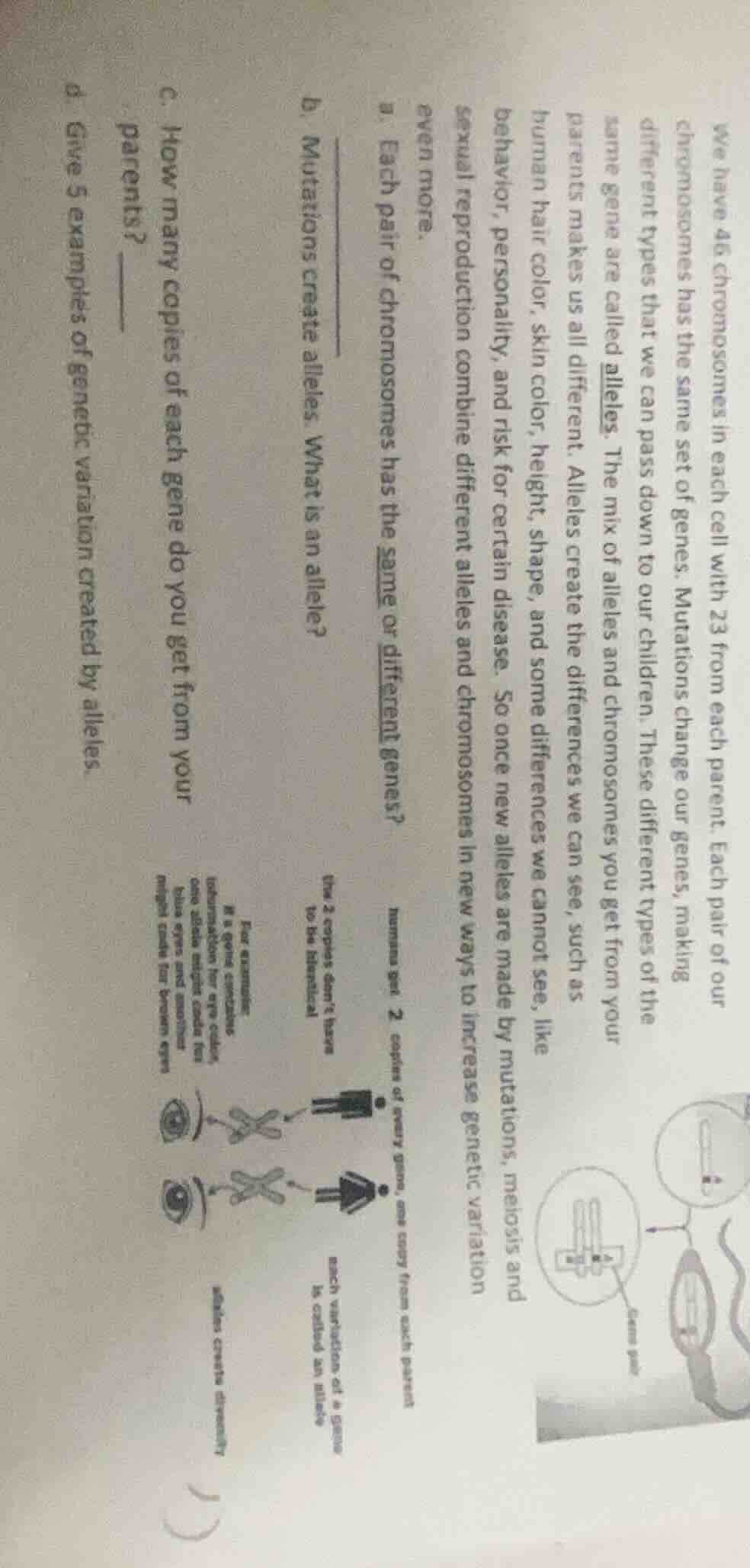 we have 46 chromosomes in each cell with 23 from each parent. each pair…