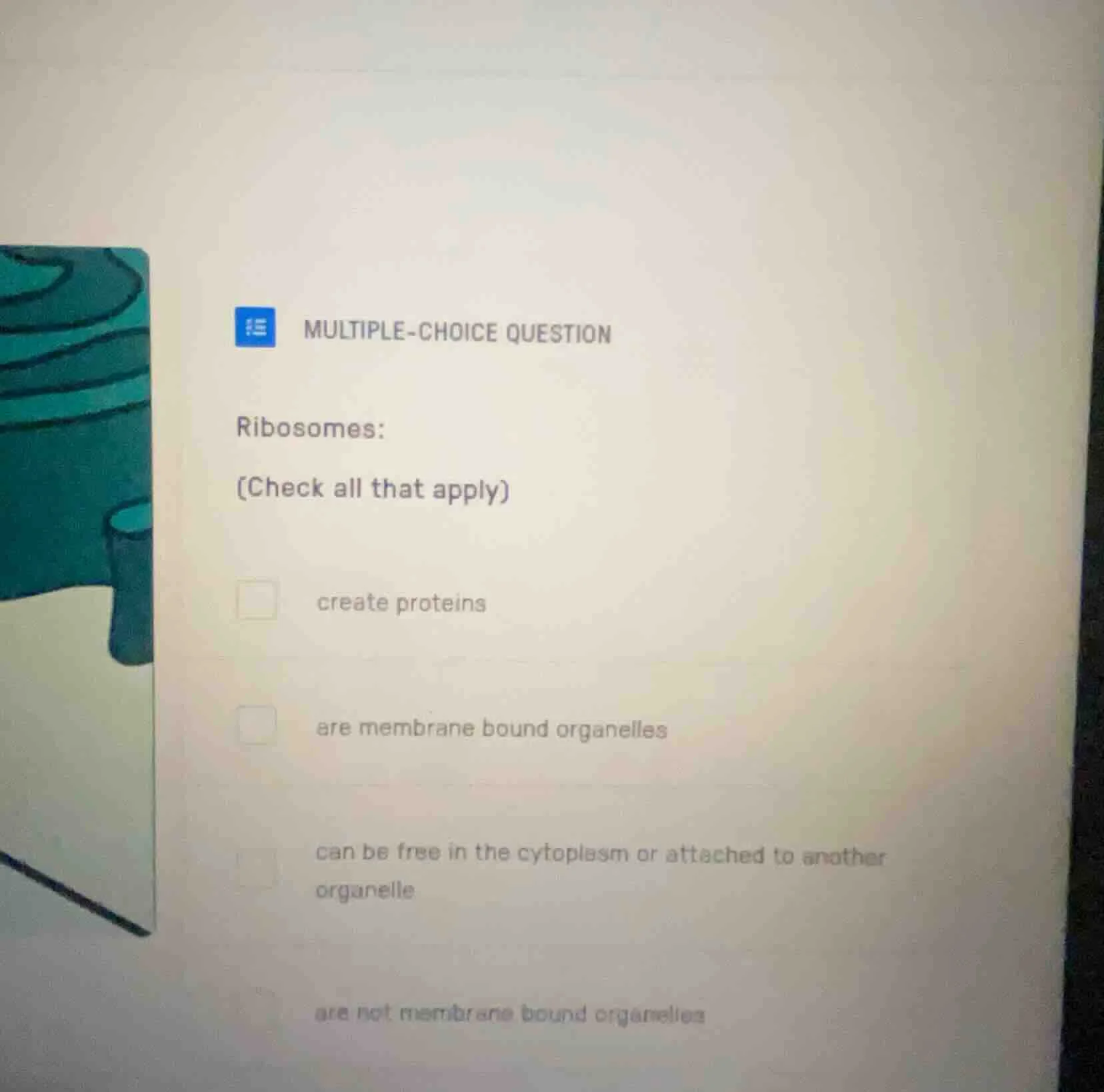 multiple-choice question ribosomes: (check all that apply) create prote…