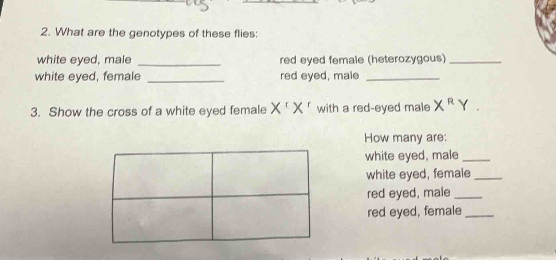 2. what are the genotypes of these flies: white eyed, male ____________…
