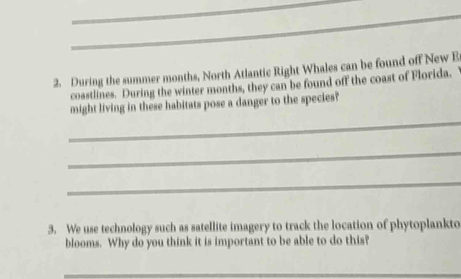 2. during the summer months, north atlantic right whales can be found o…
