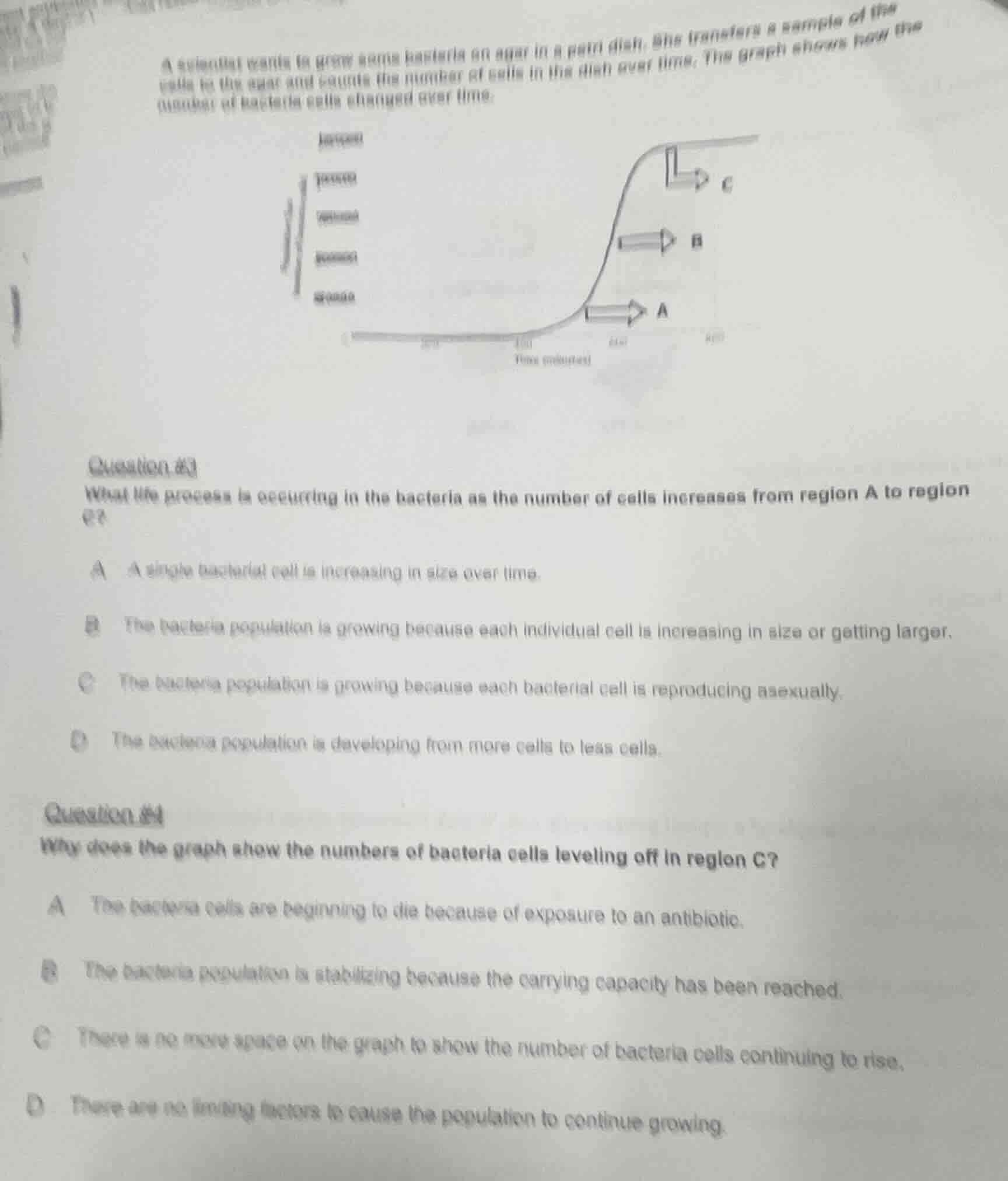 a scientist wants to grow some bacteria on agar in a petri dish. she tr…