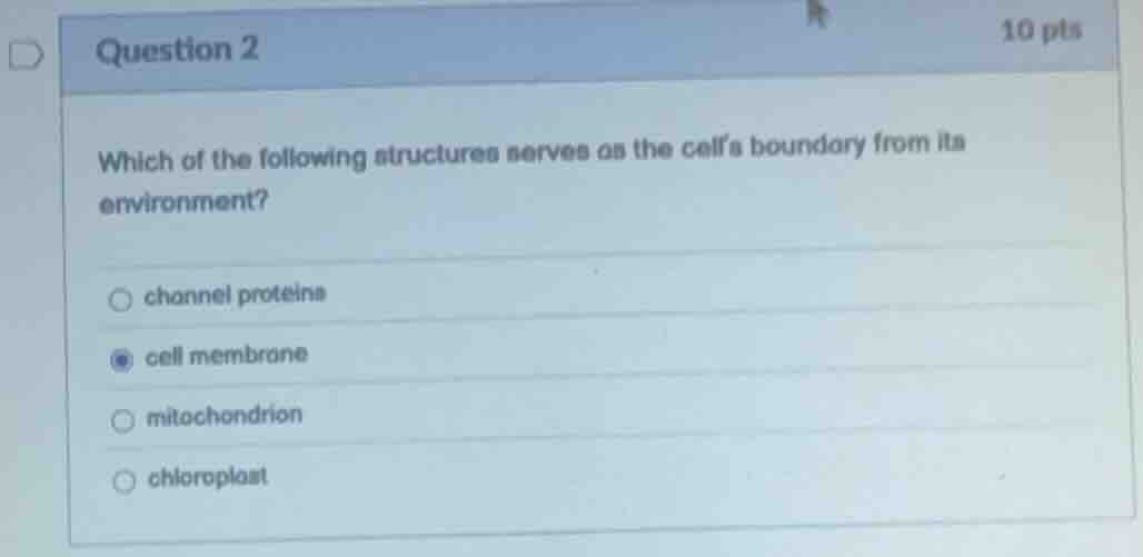 question 2 10 pts which of the following structures serves as the cells…