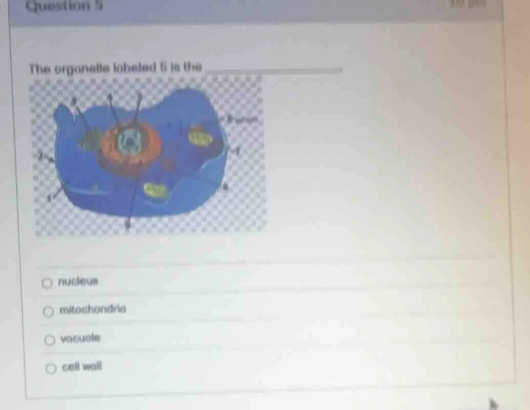 question 5 the organelle labeled 5 is the nucleus mitochondria vacuole …