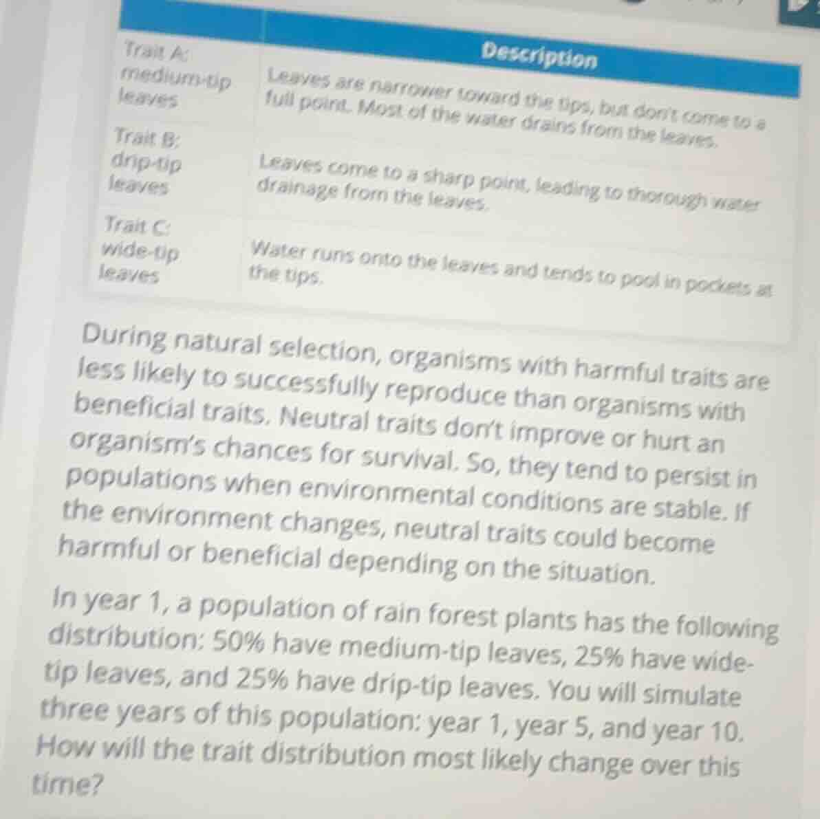trait a: medium-tip leaves description leaves are narrower toward the t…