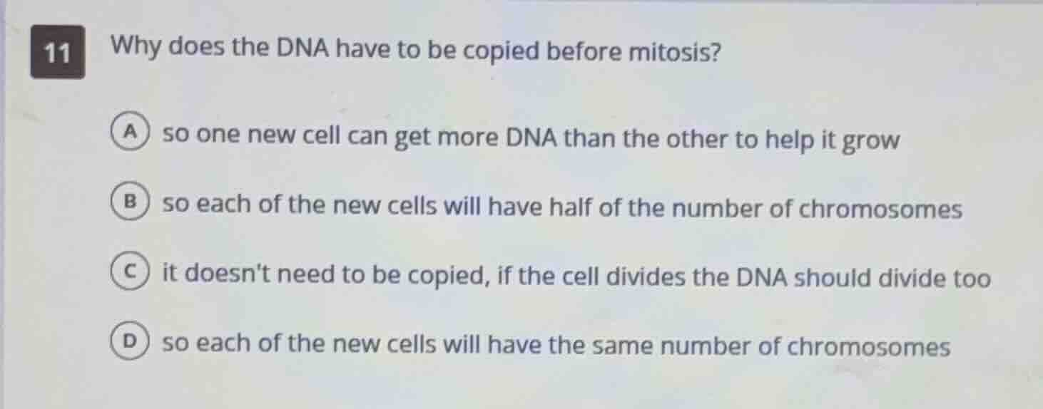 11 why does the dna have to be copied before mitosis? a so one new cell…