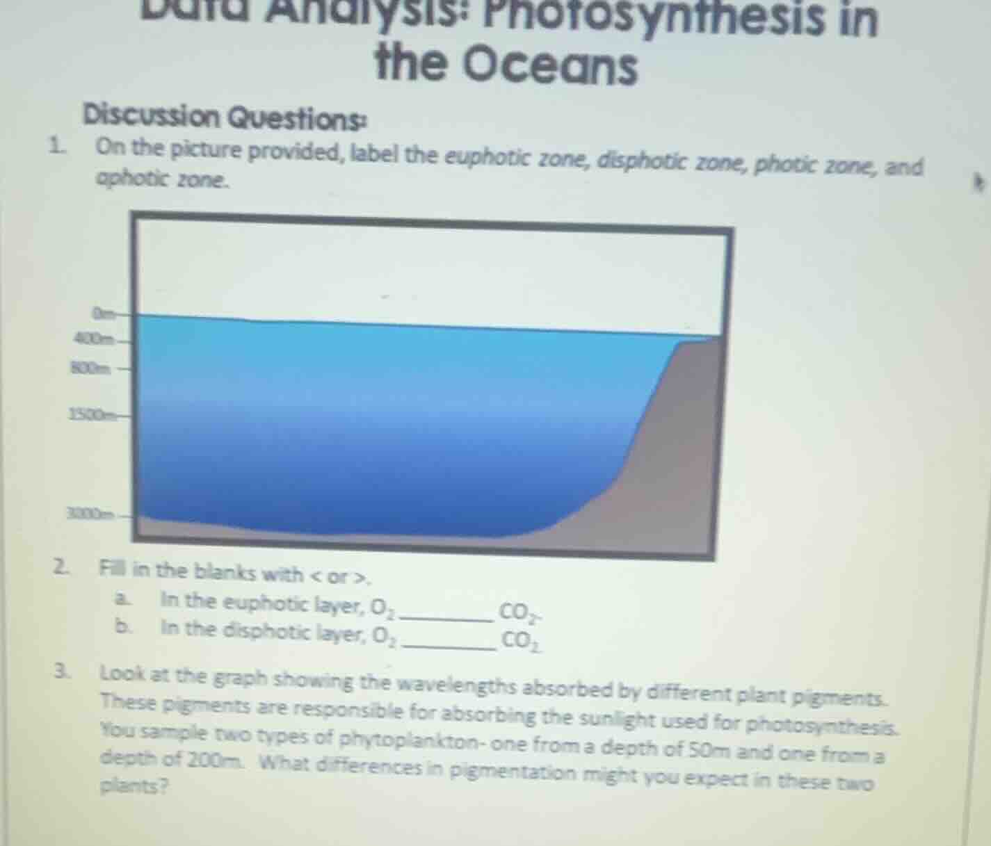 data analysis: photosynthesis in the oceans discussion questions: 1. on…