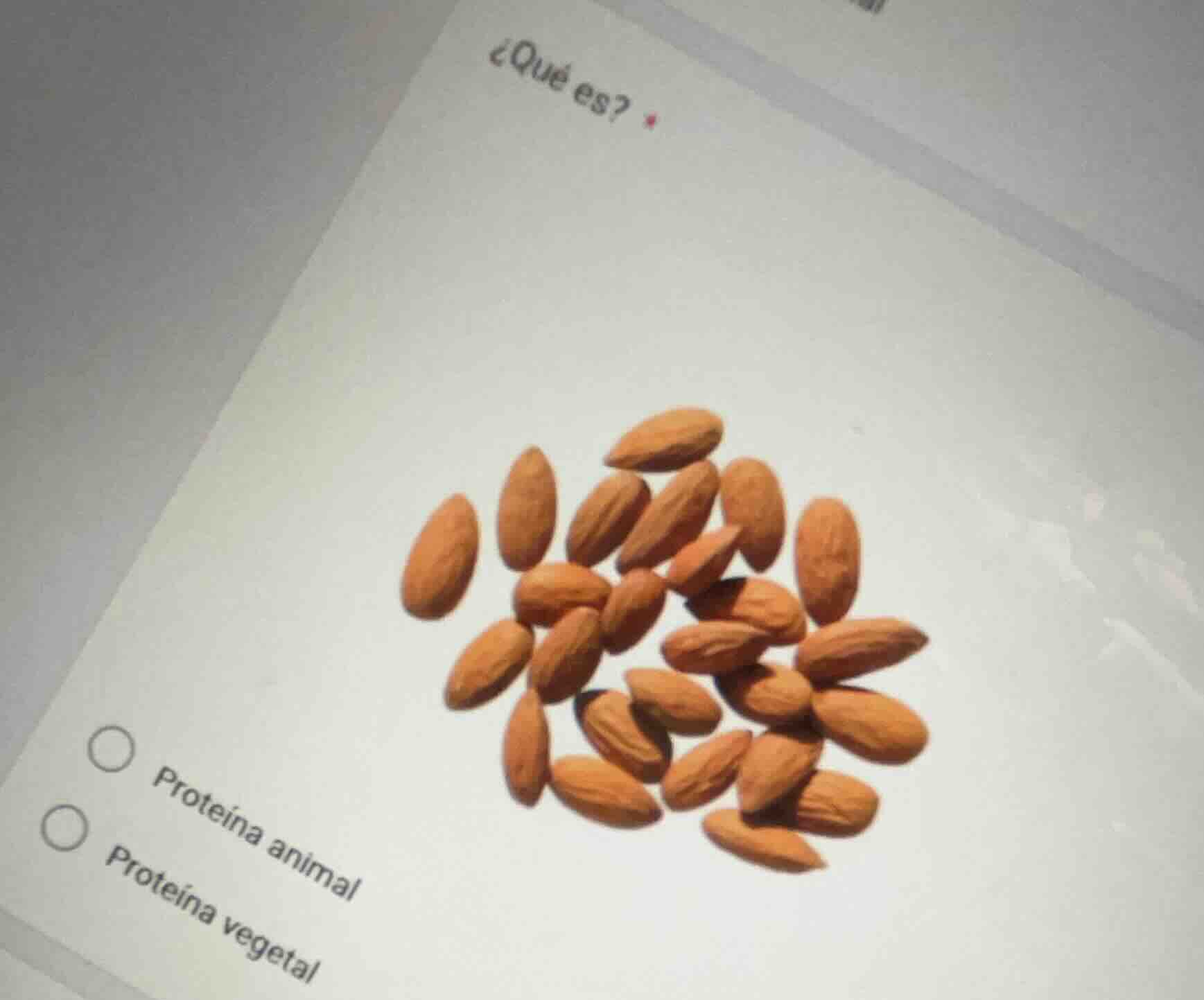 ¿qué es?○ proteína animal○ proteína vegetal