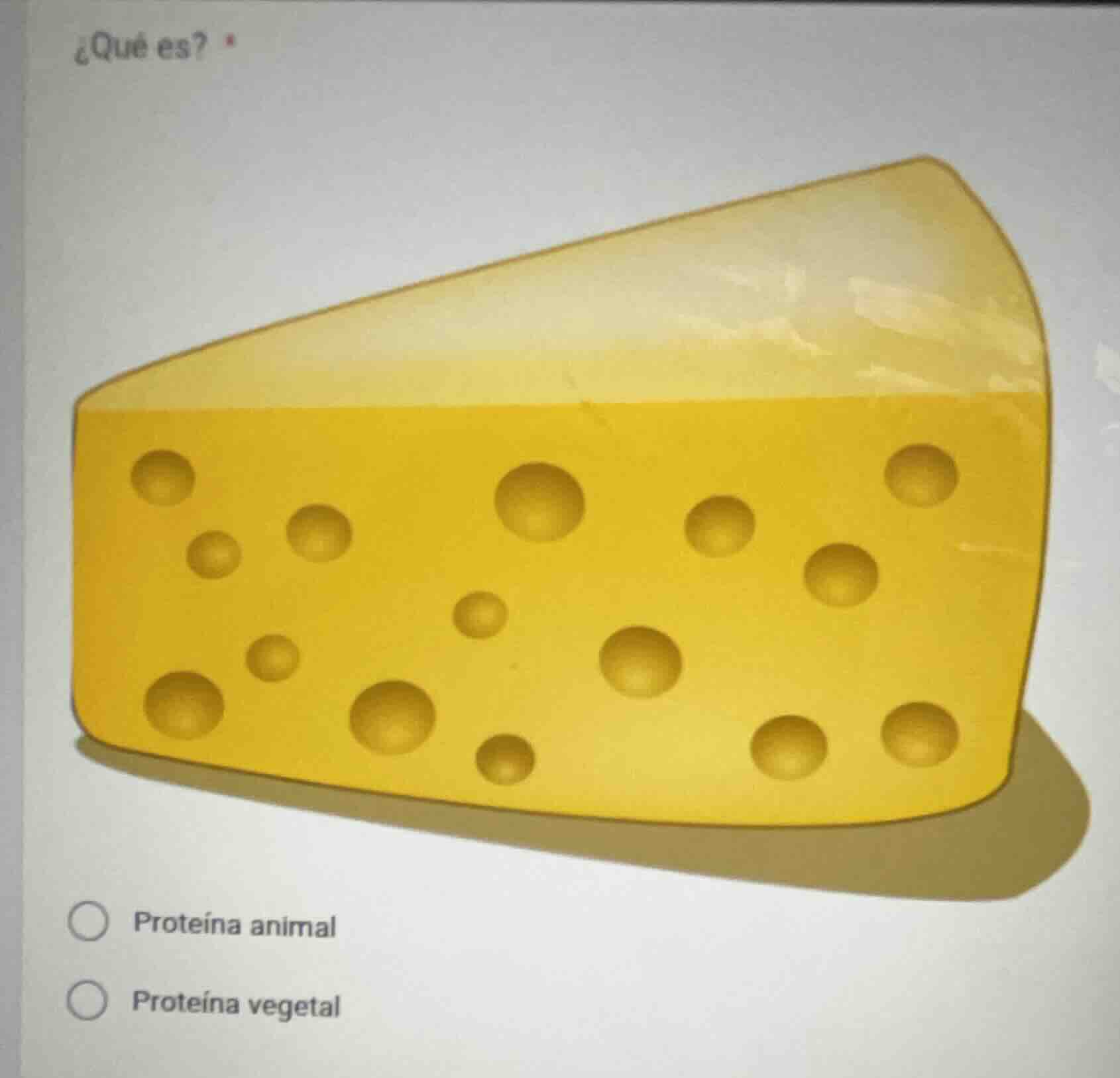 ¿qué es?proteína animalproteína vegetal