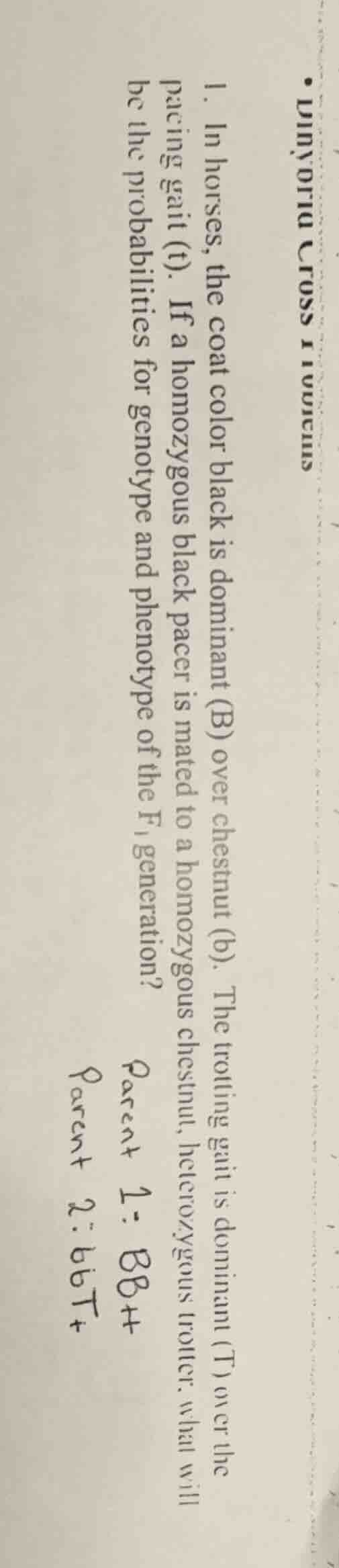 • dihybrid cross problems 1. in horses, the coat color black is dominan…
