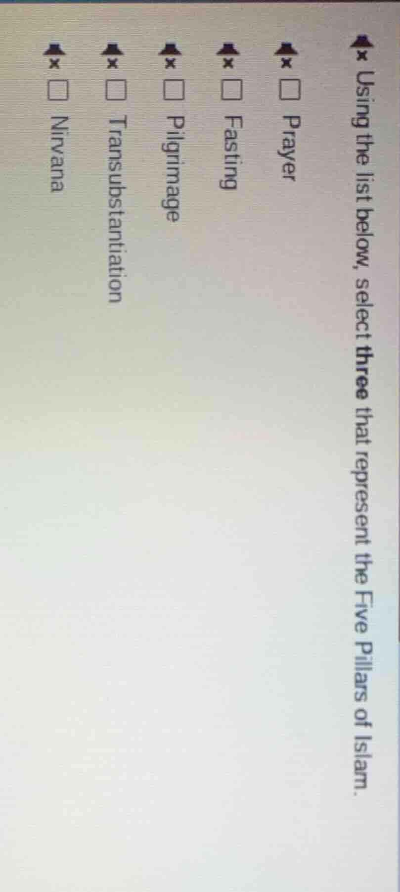 using the list below, select three that represent the five pillars of i…